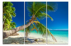 Obraz na plátně - Pláž s palmami 184B (150x100 cm)