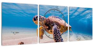 Obraz želvy v oceánu (s hodinami) (90x30 cm)
