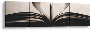 Obraz knihy (170x50 cm)