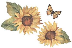 Samolepící dekorace Slunečnice a motýl