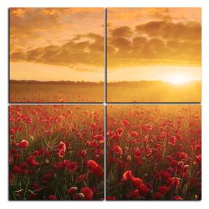 Obraz na plátně - Letní pole - čtverec 3998D (60x60 cm)