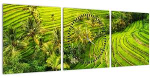 Obraz - Rýžové terasy (s hodinami) (90x30 cm)