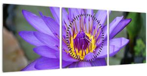 Obraz - Fialová květina (s hodinami) (90x30 cm)
