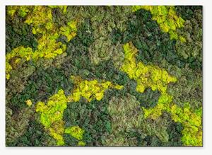 Struktura zeleného mechu – Jednodílný obraz, 70 × 50 cm