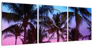 Obraz - Palmy v Miami (s hodinami) (90x30 cm)