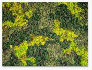 Struktura zeleného mechu – Jednodílný obraz, 40 × 30 cm