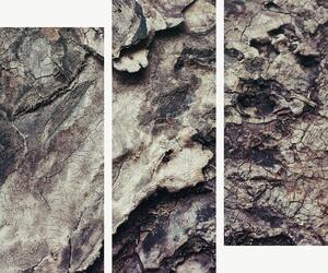 Struktura popraskané kůry – Třídílný obraz C, 120 × 100 cm