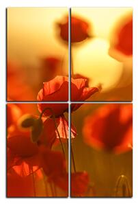 Obraz na plátně - Máky na slunci - obdélník 793D (120x80 cm)