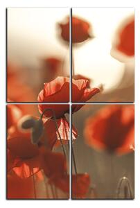 Obraz na plátně - Máky na slunci - obdélník 793FD (120x80 cm)