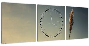 Obraz s trávou (s hodinami) (90x30 cm)