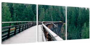 Obraz - Most k vrcholkům stromů (s hodinami) (90x30 cm)