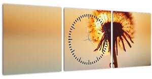 Obraz Pampelišky v západu slunce (s hodinami) (90x30 cm)