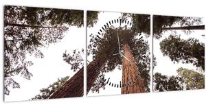 Obraz - Pohled skrz koruny stromů (s hodinami) (90x30 cm)