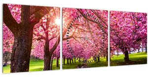 Obraz rozkvetlých třešní, Hurd Park, Dover, New Jersey (s hodinami) (90x30 cm)