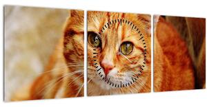 Obraz ležící kočky (s hodinami) (90x30 cm)