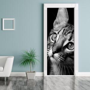 Fototapeta na dveře - Kočička (95x205cm)