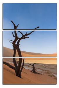 Obraz na plátně - Mrtvý strom v dunách - obdélník 7130B (120x80 cm)