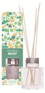 ROURA Ginger & Mint Vonný difuzér, 50 ml