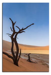 Obraz na plátně - Mrtvý strom v dunách - obdélník 7130A (100x70 cm)