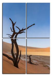 Obraz na plátně - Mrtvý strom v dunách - obdélník 7130D (90x60 cm)