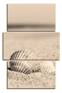 Obraz na plátně - Moře a mušle - obdélník 7126FC (120x80 cm)