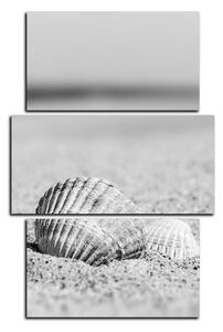 Obraz na plátně - Moře a mušle - obdélník 7126QC (105x70 cm)