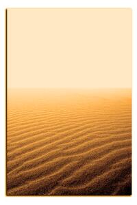 Obraz na plátně - Písek v poušti - obdélník 7127FA (100x70 cm)