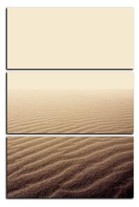 Obraz na plátně - Písek v poušti - obdélník 7127B (120x80 cm)
