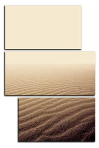 Obraz na plátně - Písek v poušti - obdélník 7127D (90x60 cm)