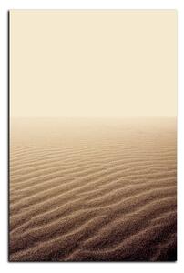 Obraz na plátně - Písek v poušti - obdélník 7127A (90x60 cm )