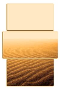 Obraz na plátně - Písek v poušti - obdélník 7127FC (105x70 cm)