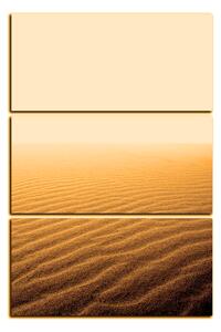 Obraz na plátně - Písek v poušti - obdélník 7127FB (90x60 cm )