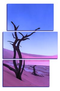 Obraz na plátně - Mrtvý strom v dunách - obdélník 7130FC (90x60 cm)