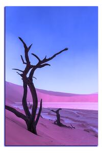 Obraz na plátně - Mrtvý strom v dunách - obdélník 7130FA (90x60 cm )