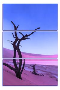 Obraz na plátně - Mrtvý strom v dunách - obdélník 7130FB (120x80 cm)