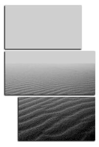 Obraz na plátně - Písek v poušti - obdélník 7127QD (90x60 cm)