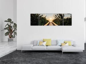 Obraz - cesta ke slunci (170x50 cm)