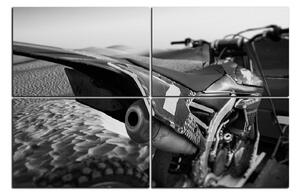 Obraz na plátně - Moto freestyle 1124QD (90x60 cm)