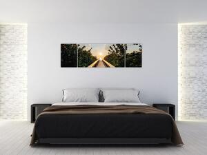 Obraz - cesta ke slunci (170x50 cm)