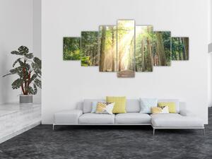 Obraz pěšiny v lese (210x100 cm)