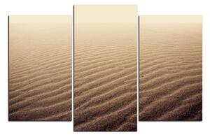 Obraz na plátně - Písek v poušti 1127C (90x60 cm)