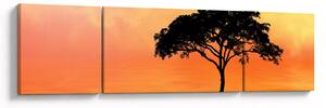 Obraz stromu v západu slunce (170x50 cm)