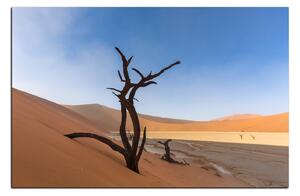 Obraz na plátně - Mrtvý strom v dunách 1130A (120x80 cm)