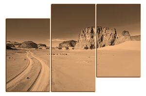 Obraz na plátně - Silnice v poušti 1129FD (90x60 cm)