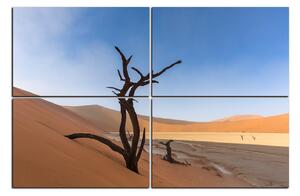Obraz na plátně - Mrtvý strom v dunách 1130E (90x60 cm)