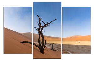 Obraz na plátně - Mrtvý strom v dunách 1130C (120x80 cm)