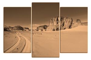 Obraz na plátně - Silnice v poušti 1129FC (120x80 cm)