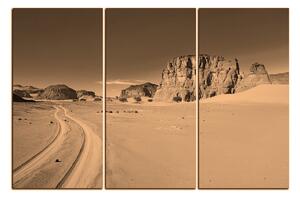 Obraz na plátně - Silnice v poušti 1129FB (90x60 cm )