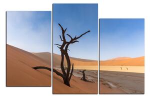 Obraz na plátně - Mrtvý strom v dunách 1130D (90x60 cm)