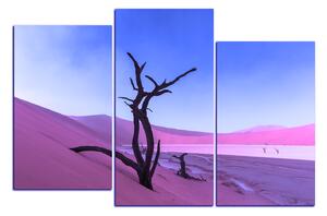 Obraz na plátně - Mrtvý strom v dunách 1130FD (90x60 cm)